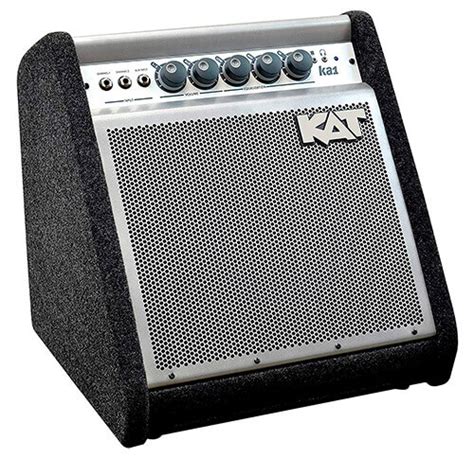 The 10 Best Electronic Drum Amps / Monitor Speakers 2024.